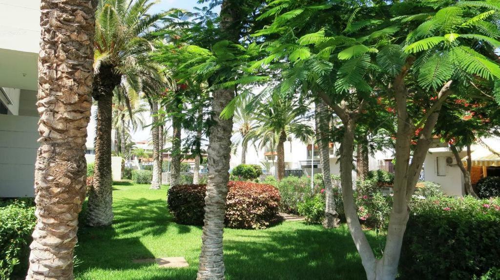 Primavera Appartement Tot 7 Personen Ideaal Voor Backpackers Arona  Εξωτερικό φωτογραφία